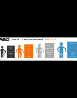 Reid Vélo Hybride - REID Transit Gris
