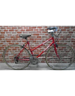 Vélo de ville usagé Raleigh 19'' - 13101