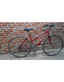 Vélo de ville usagé Raleigh 19'' - 13104