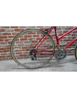 Vélo de ville usagé Raleigh 19'' - 13101