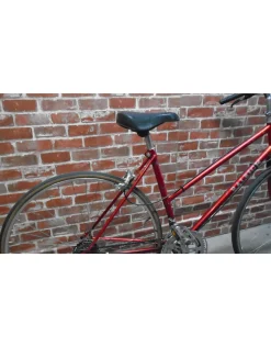 Vélo de ville usagé Raleigh 19'' - 13104