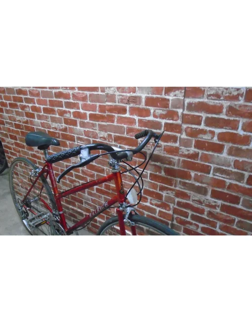 Vélo de ville usagé Raleigh 19'' - 13104