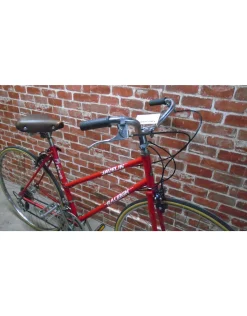 Vélo de ville usagé Raleigh 19'' - 13101