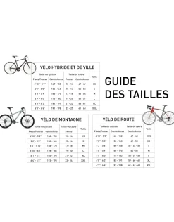 Vélo usagé de ville Skyline 19" - 11974