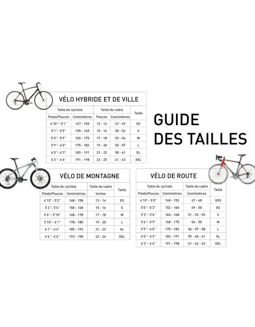 Vélo usagé de ville Skyline 19" - 11974