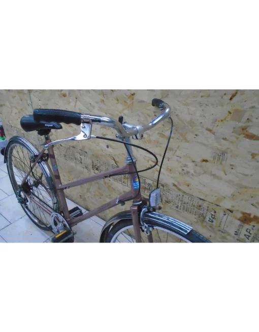 Vélo usagé de ville Skyline 19" - 11974